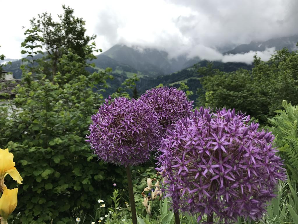 Ferienwohnung Laax Mit Traumblick, Grossem Balkon Und Terrasse Buitenkant foto