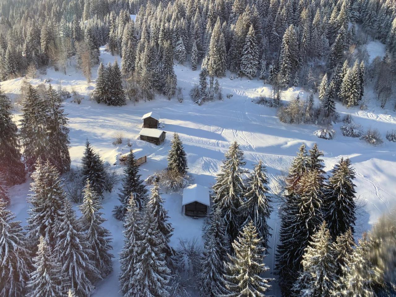 Ferienwohnung Laax Mit Traumblick, Grossem Balkon Und Terrasse Buitenkant foto